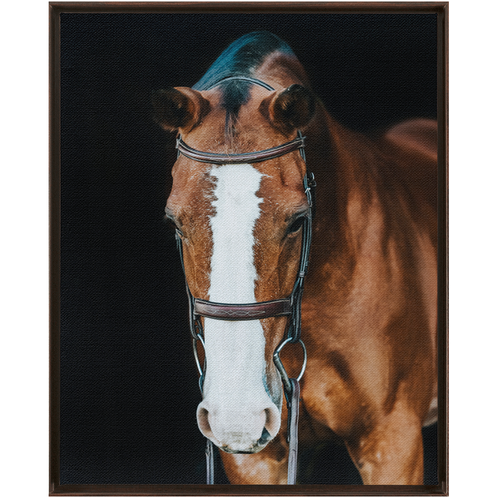 Huntsman Series 6, Framed Canvas