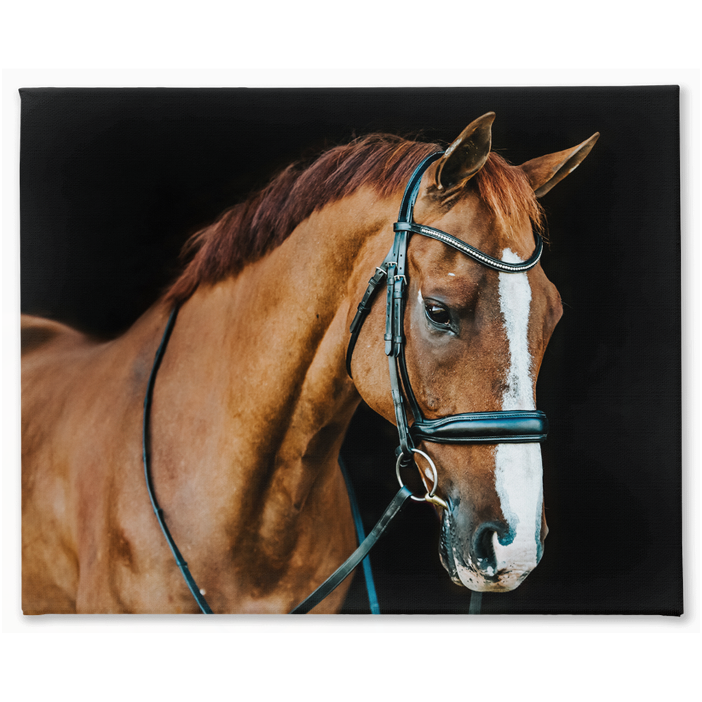Hudson Series 1, Stretched Canvas