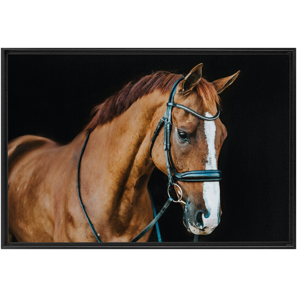 Hudson Series 1, Framed Canvas