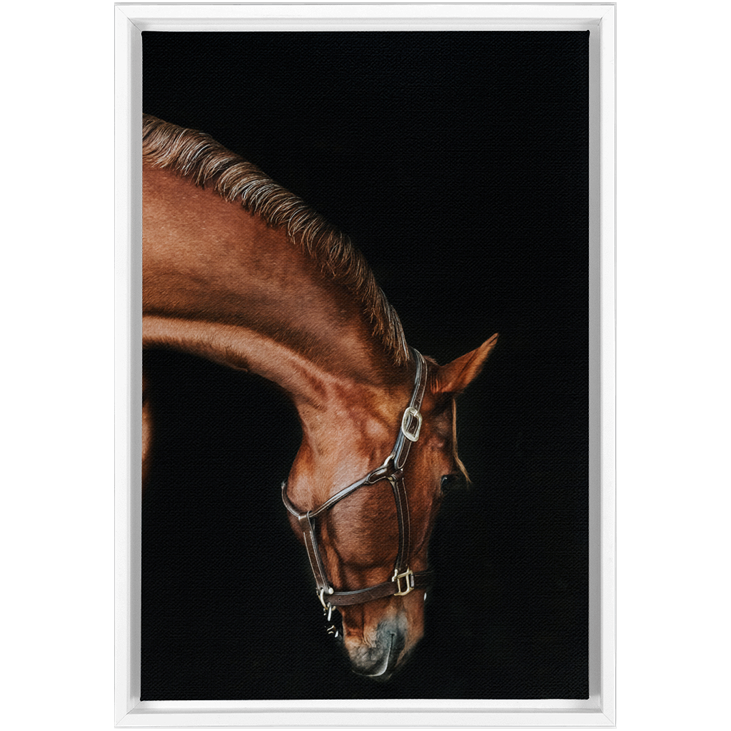 Django Series 6, Framed Canvas