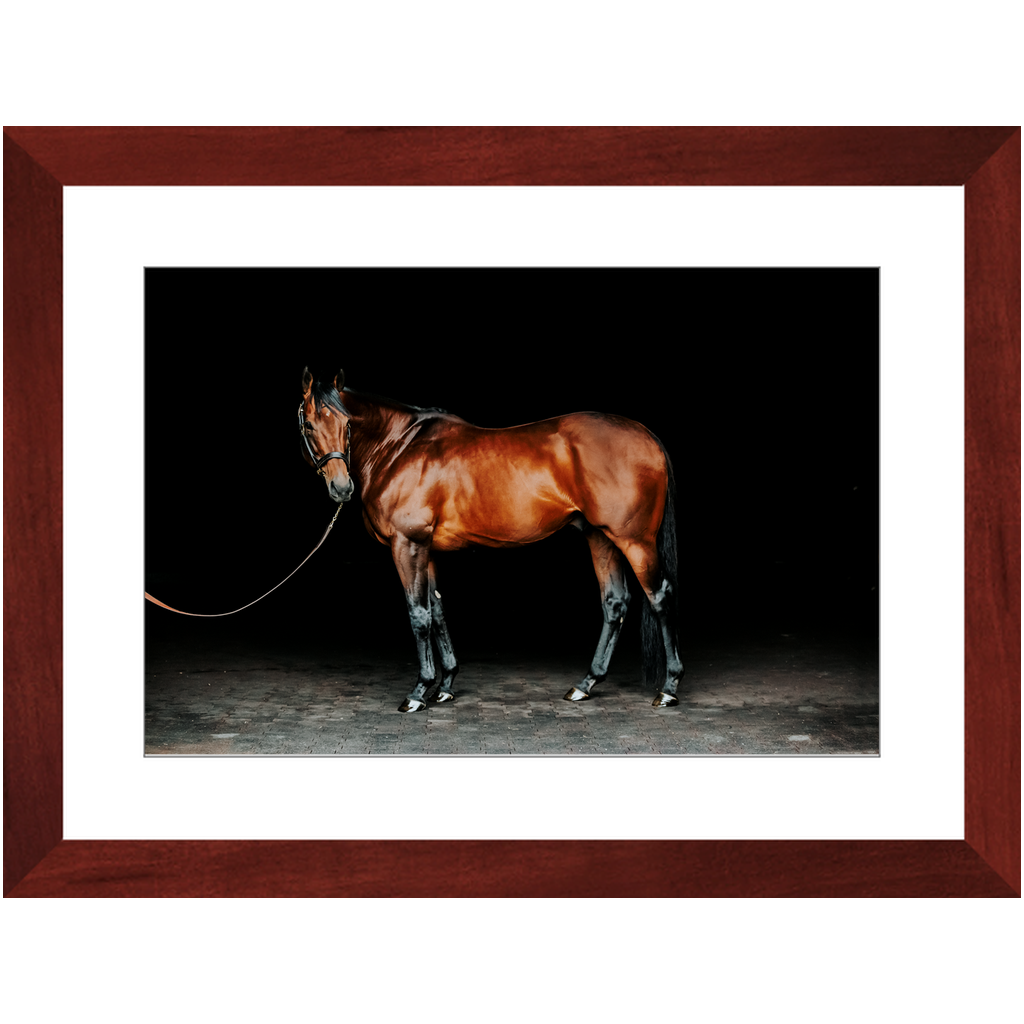 American Pharoah Series 1, Framed Print