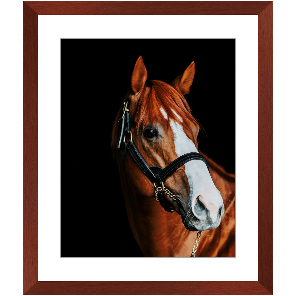 Justify Series 2, Framed Print