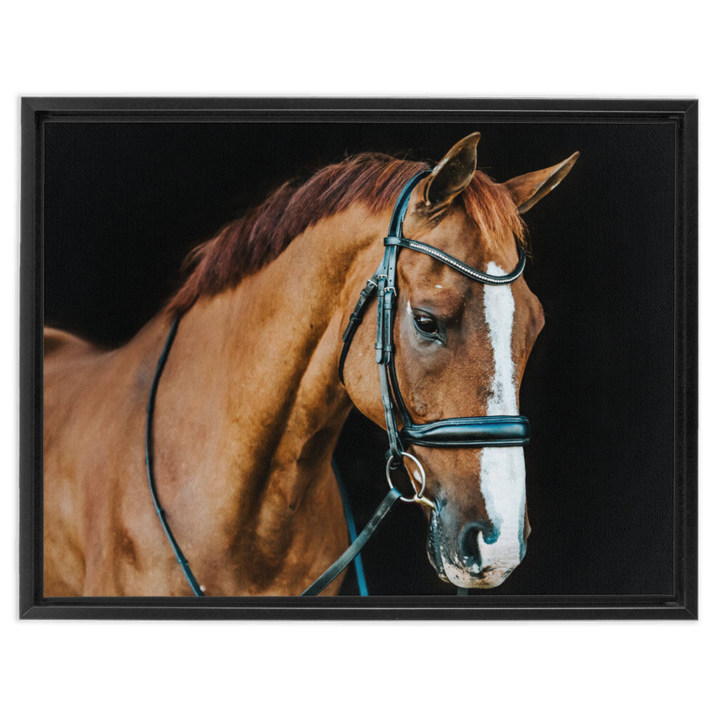 Hudson Series 1, Framed Canvas