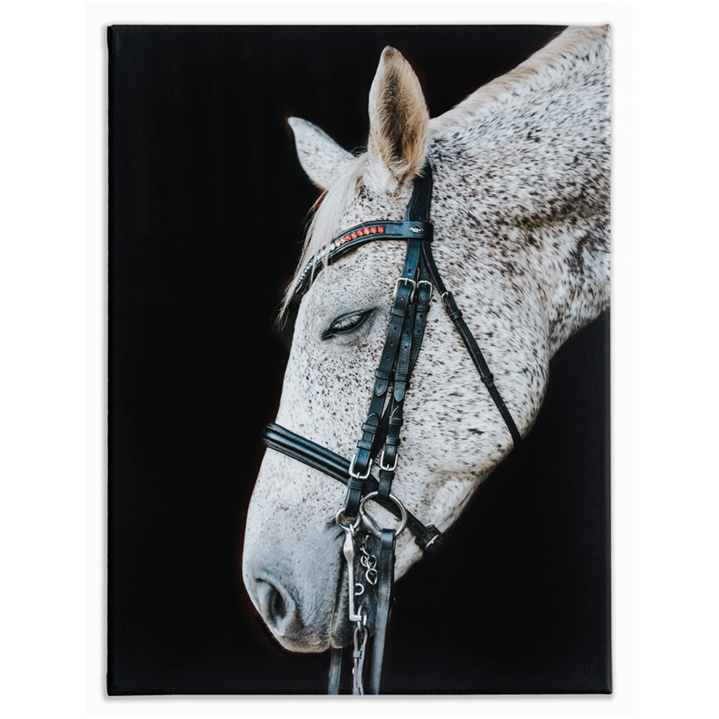 Apollos Series 2, Stretched Canvas