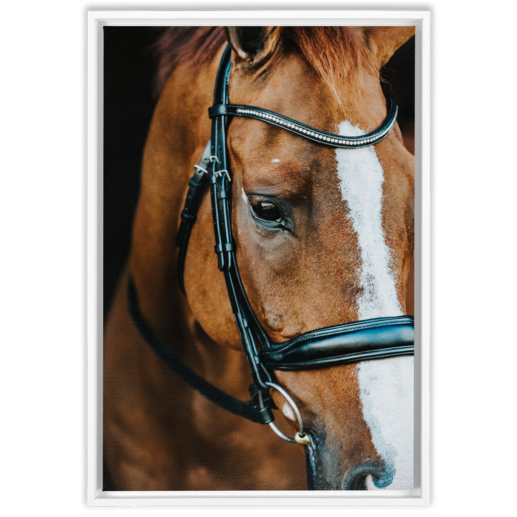 Hudson Series 3, Framed Canvas
