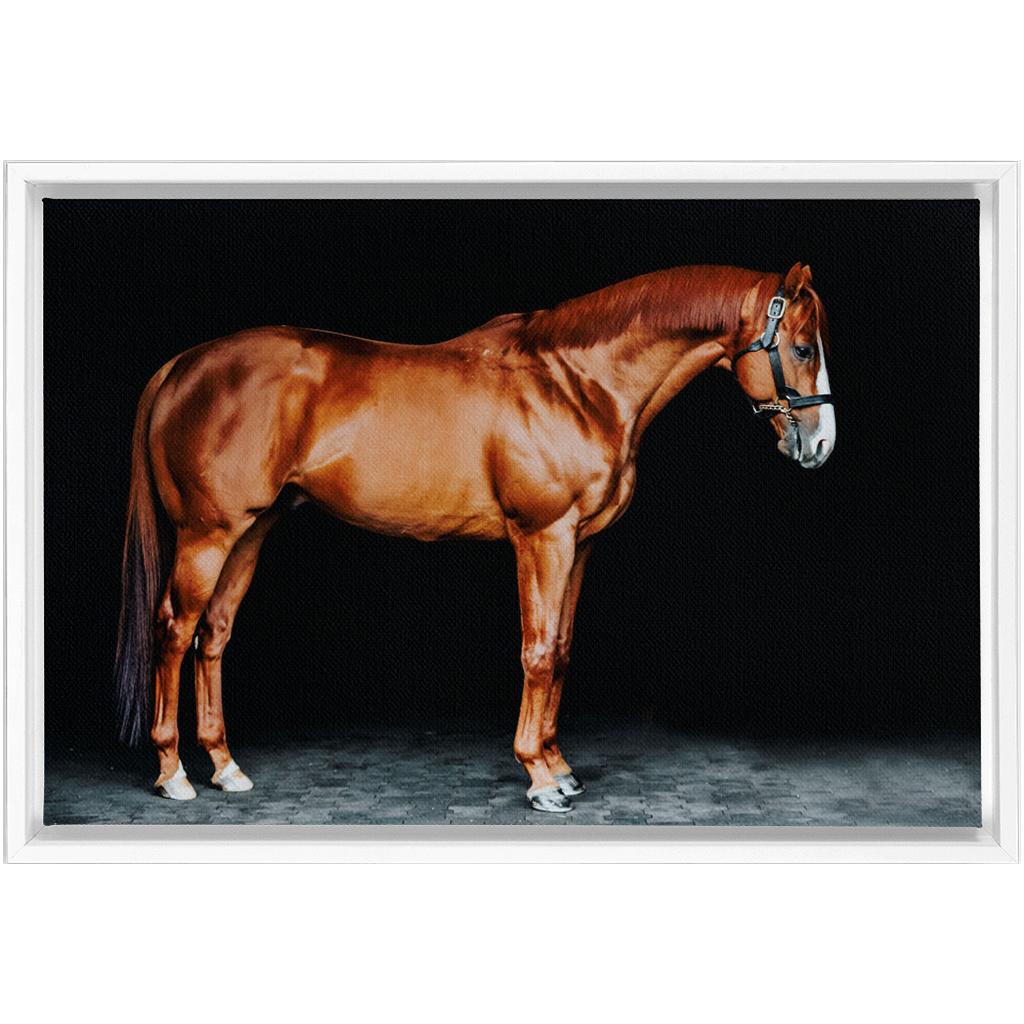 Justify Series 6, Framed Canvas