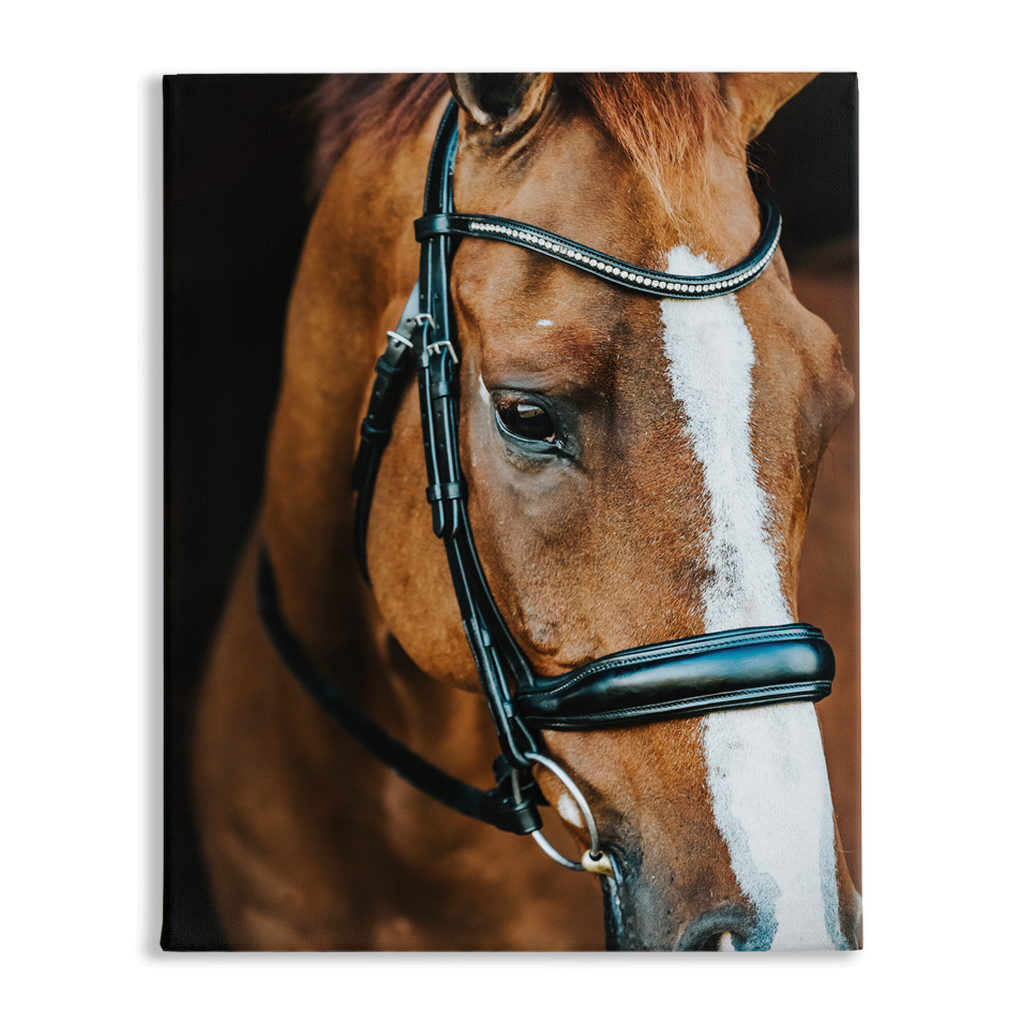 Hudson Series 3, Stretched Canvas