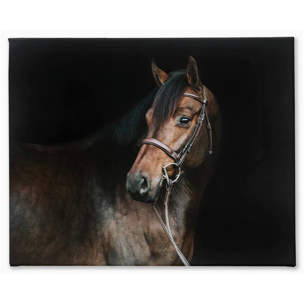 Jovial Series 2, Stretched Canvas