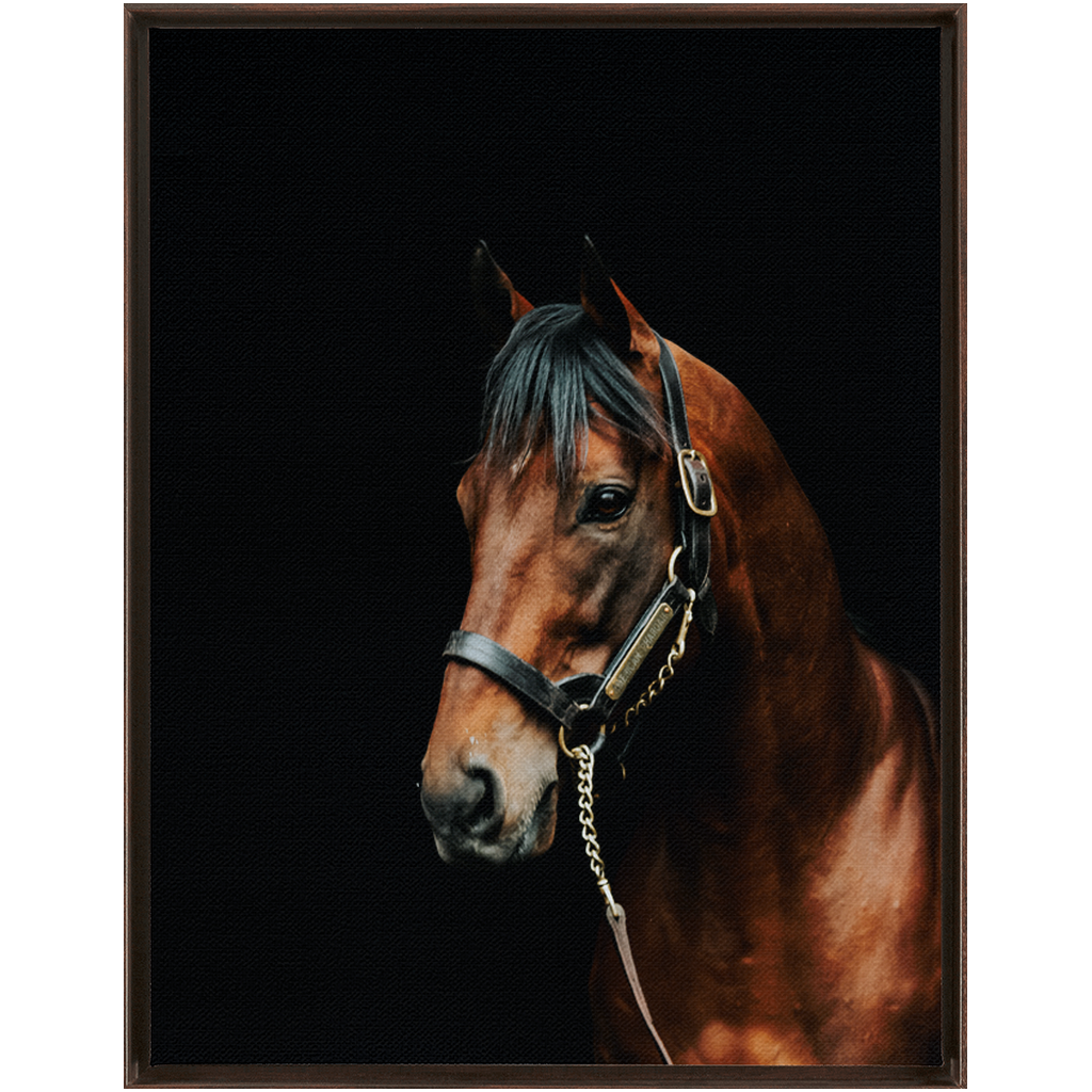 American Pharoah Series 2, Framed Canvas