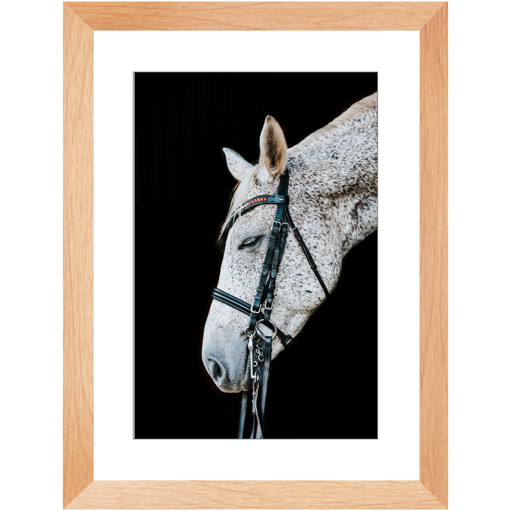 Apollo Series 1, Framed Print