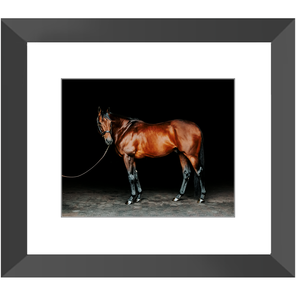 American Pharoah Series 1, Framed Print