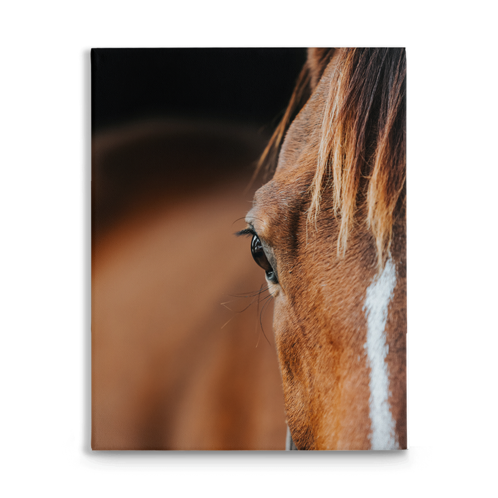 Majestic 1, Stretched Canvas