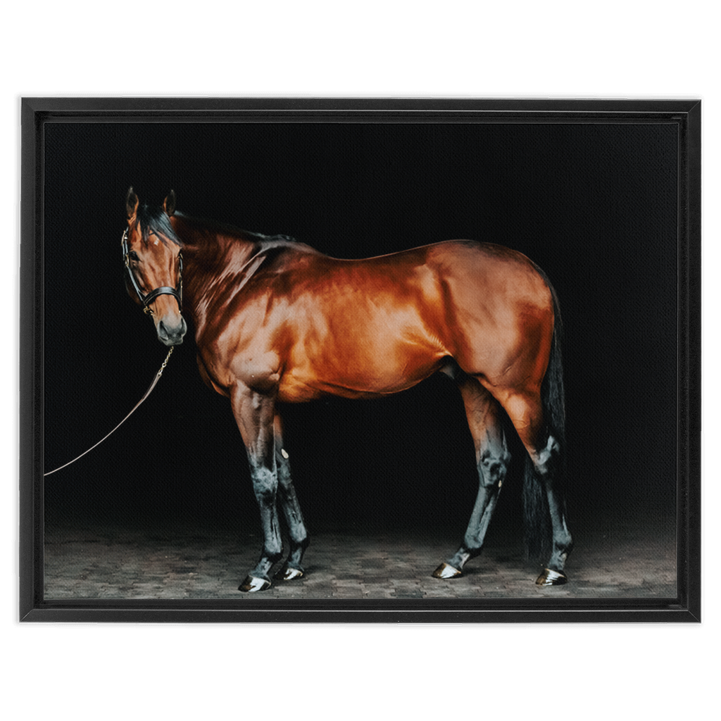 American Pharoah Series 1, Framed Canvas