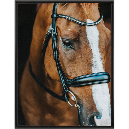 Hudson Series 3, Framed Canvas