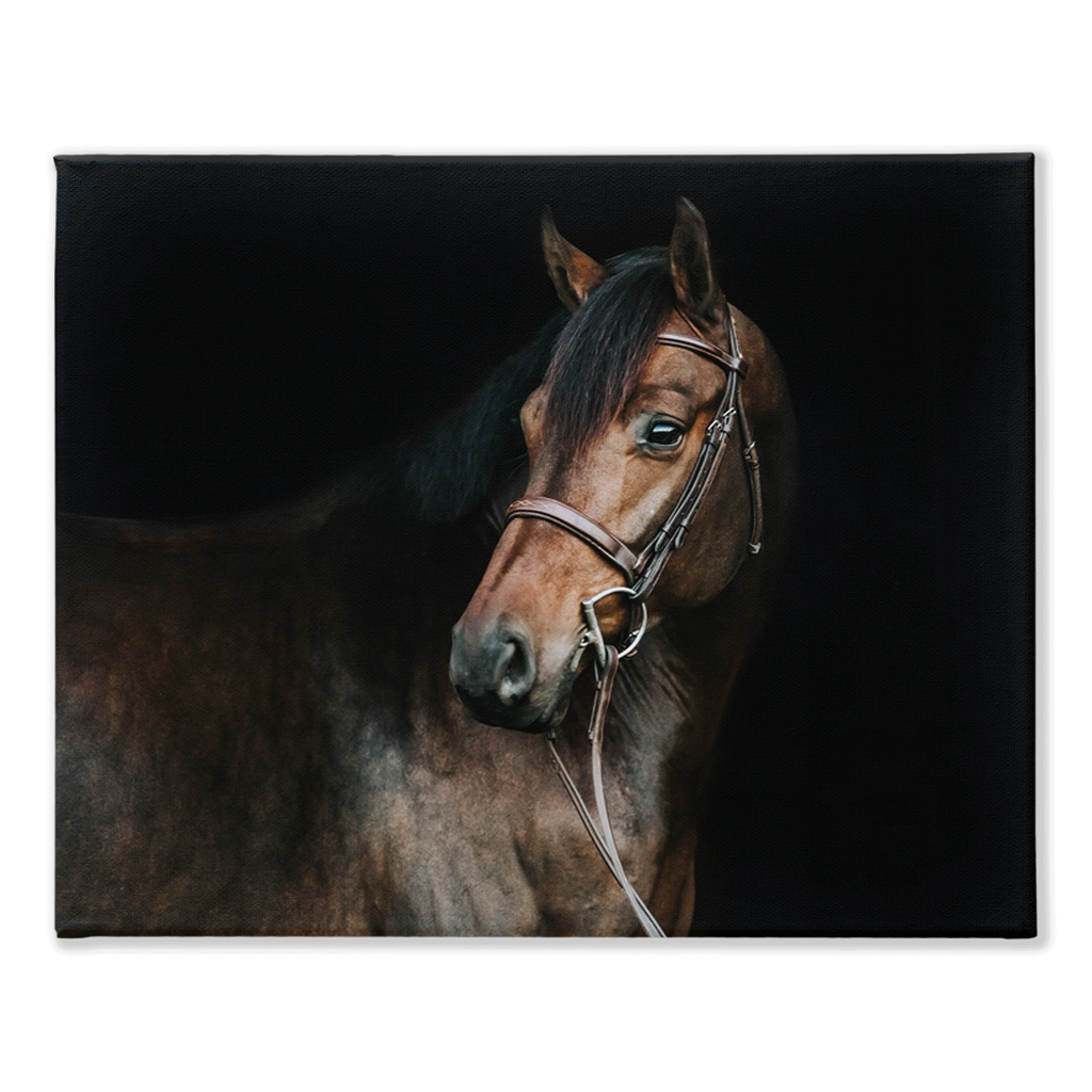 Jovial Series 2, Stretched Canvas