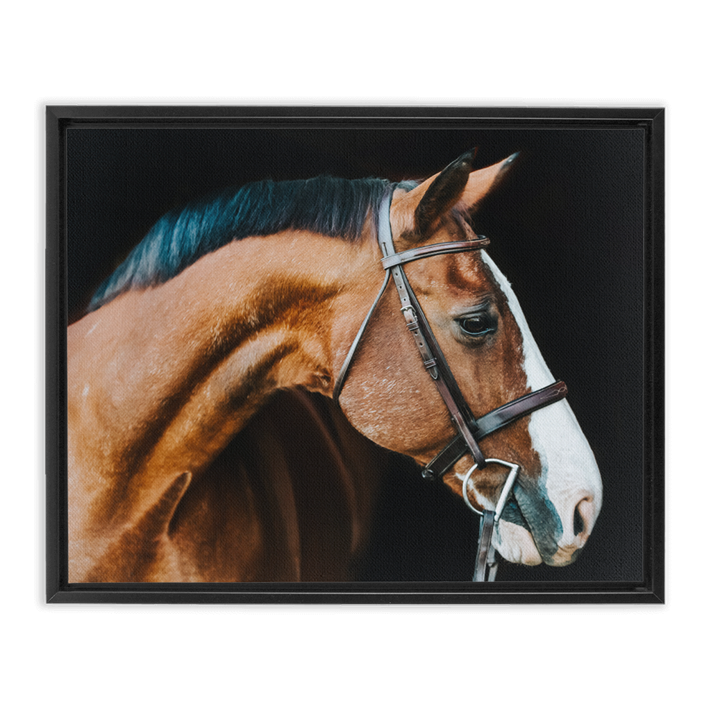Huntsman Series 3, Framed Canvas