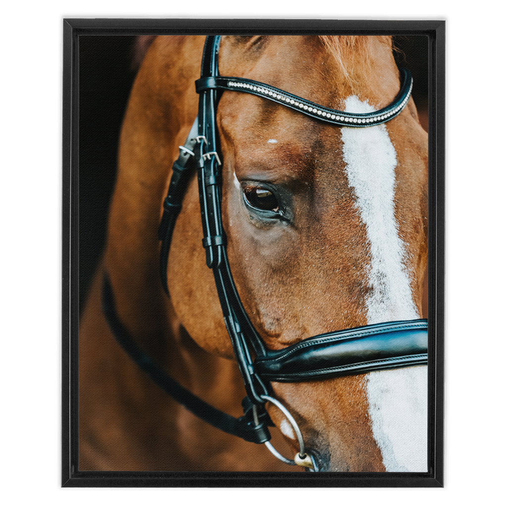 Hudson Series 3, Framed Canvas