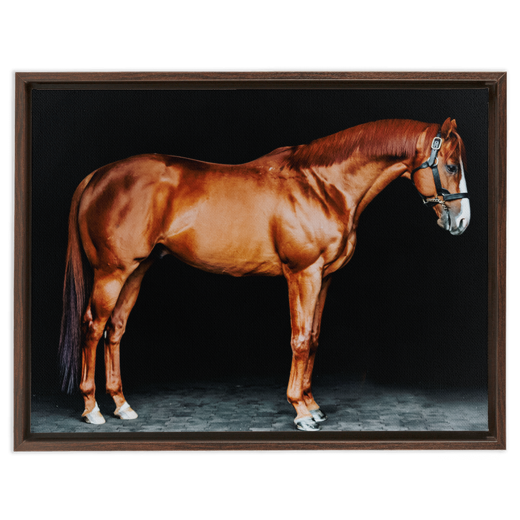 Justify Series 6, Framed Canvas