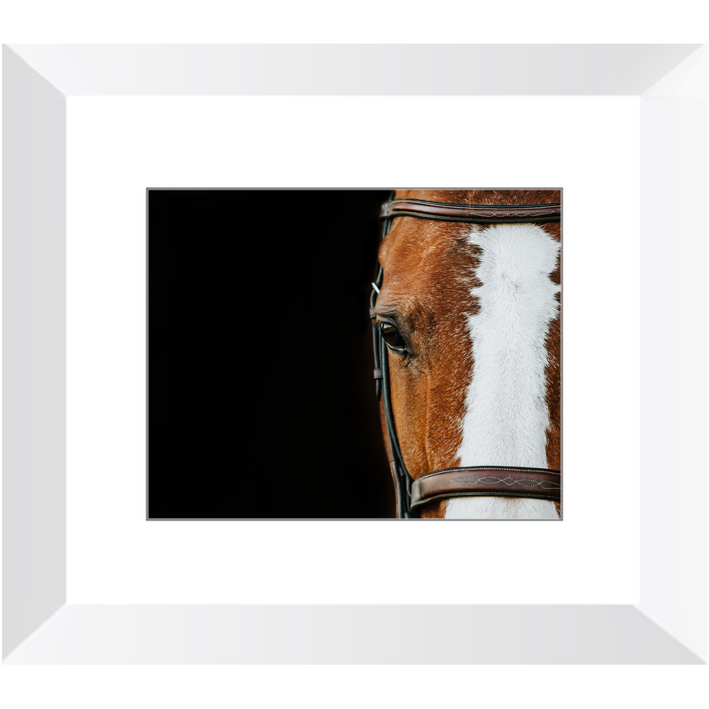 Huntsman Series 5, Framed Print