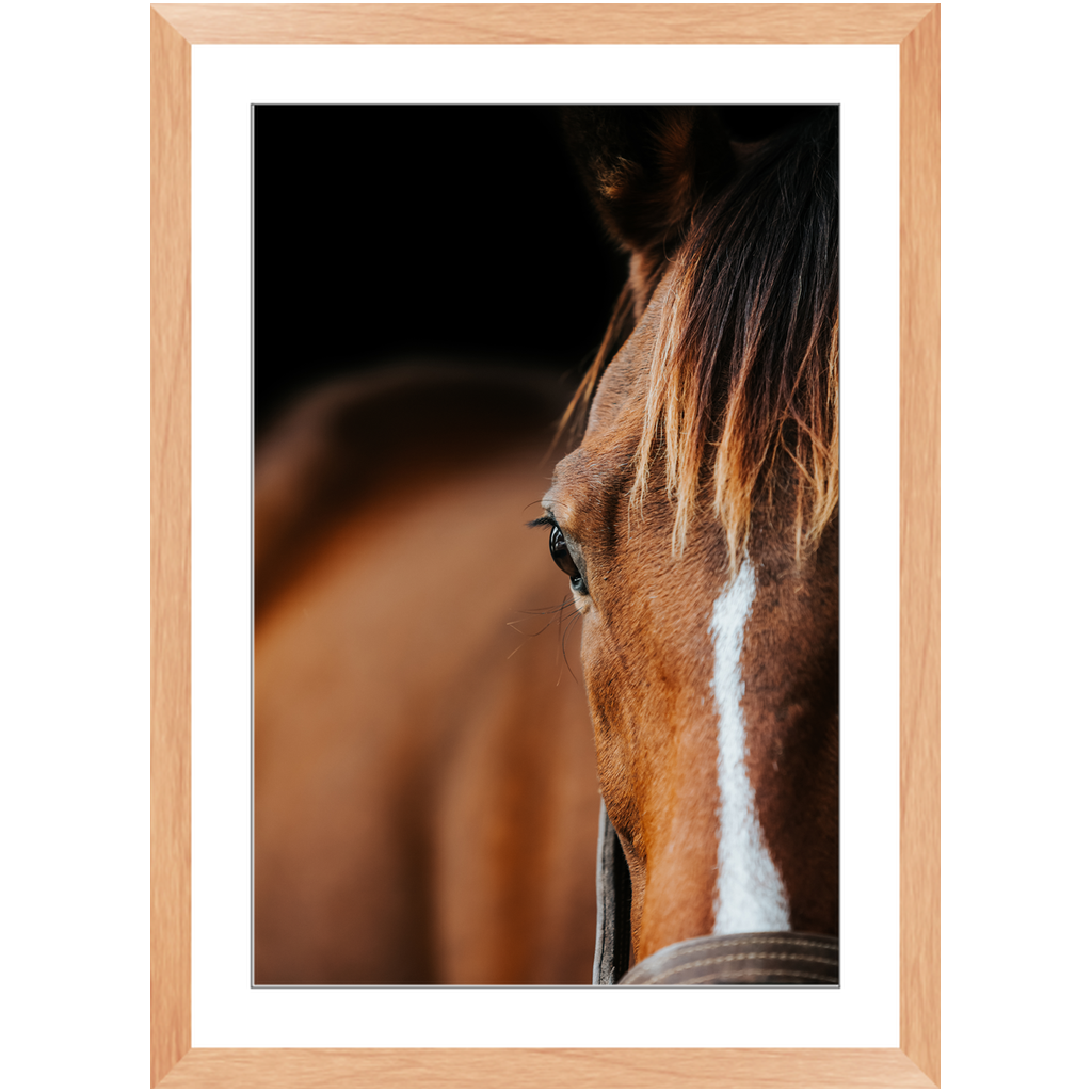 Majestic Series 1, Framed Print
