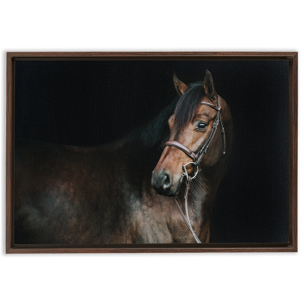 Jovial Series 2, Framed Canvas