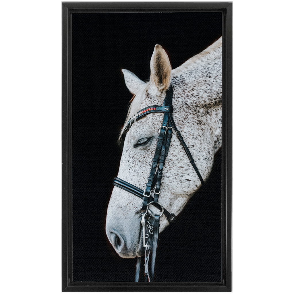 Apollo Series 1, Framed Canvas