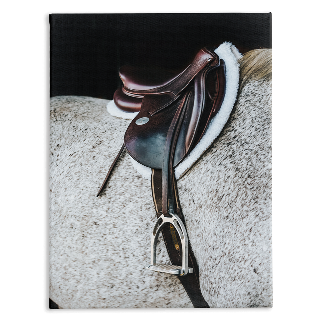 Apollo Series 3, Stretched Canvas