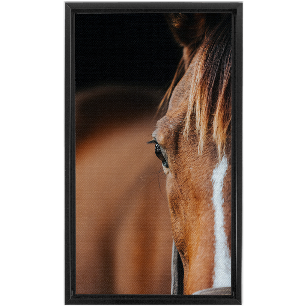 Majestic 1, Framed Canvas