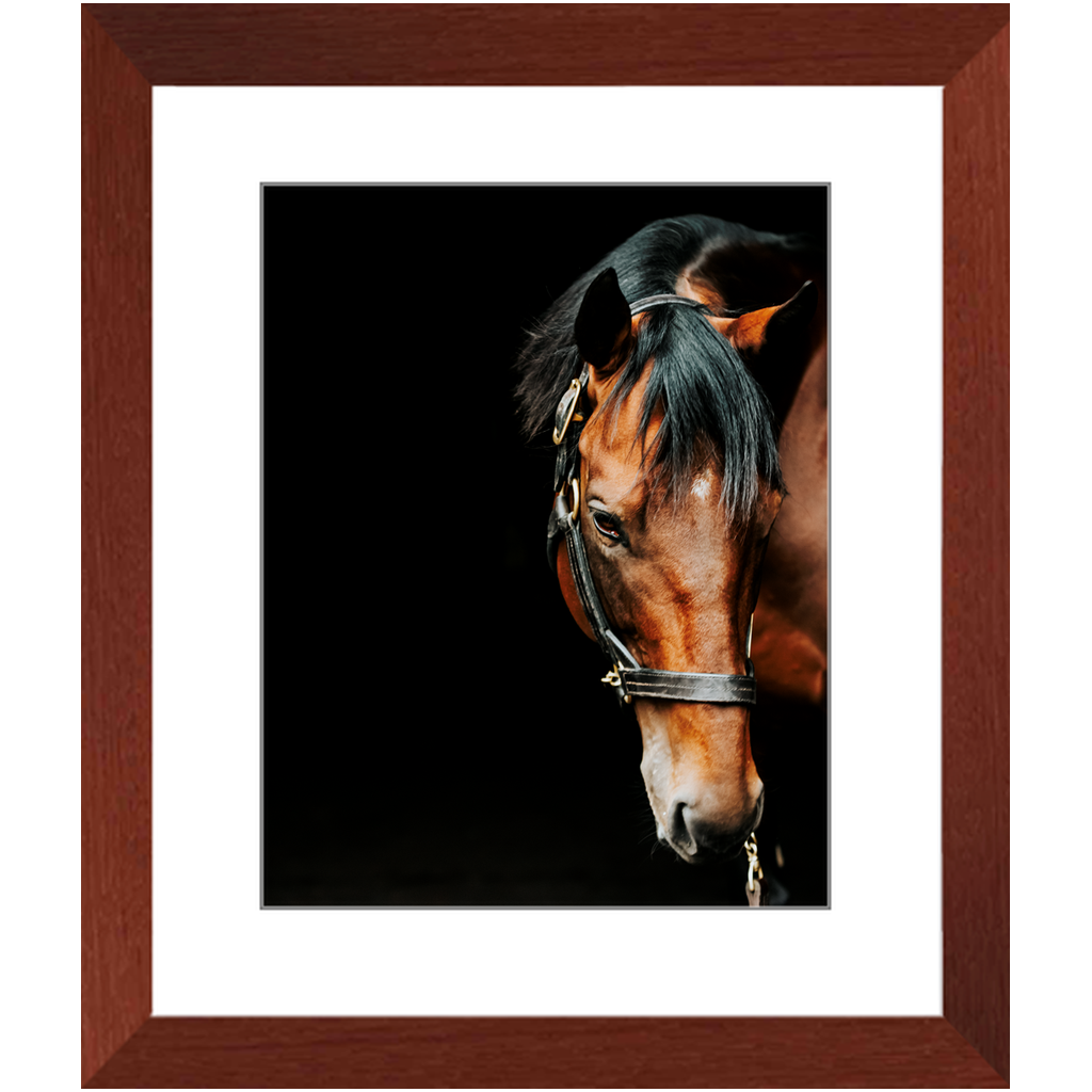 American Pharoah Series 6, Framed Print