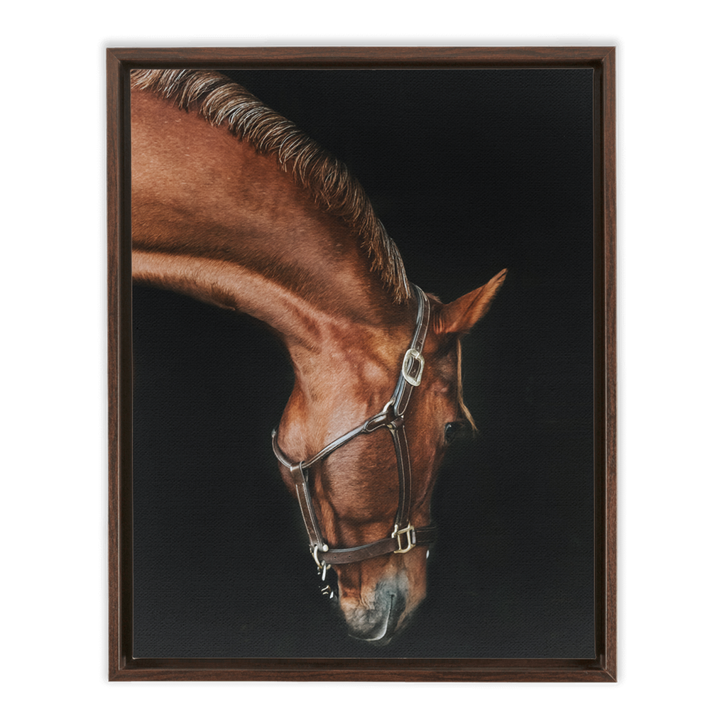 Django Series 6, Framed Canvas