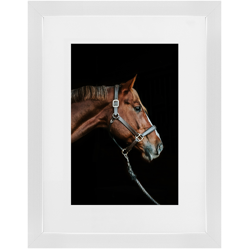 Django Series 3, Framed Print