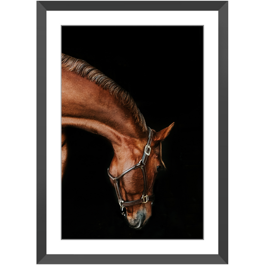 Django Series 6, Framed Print