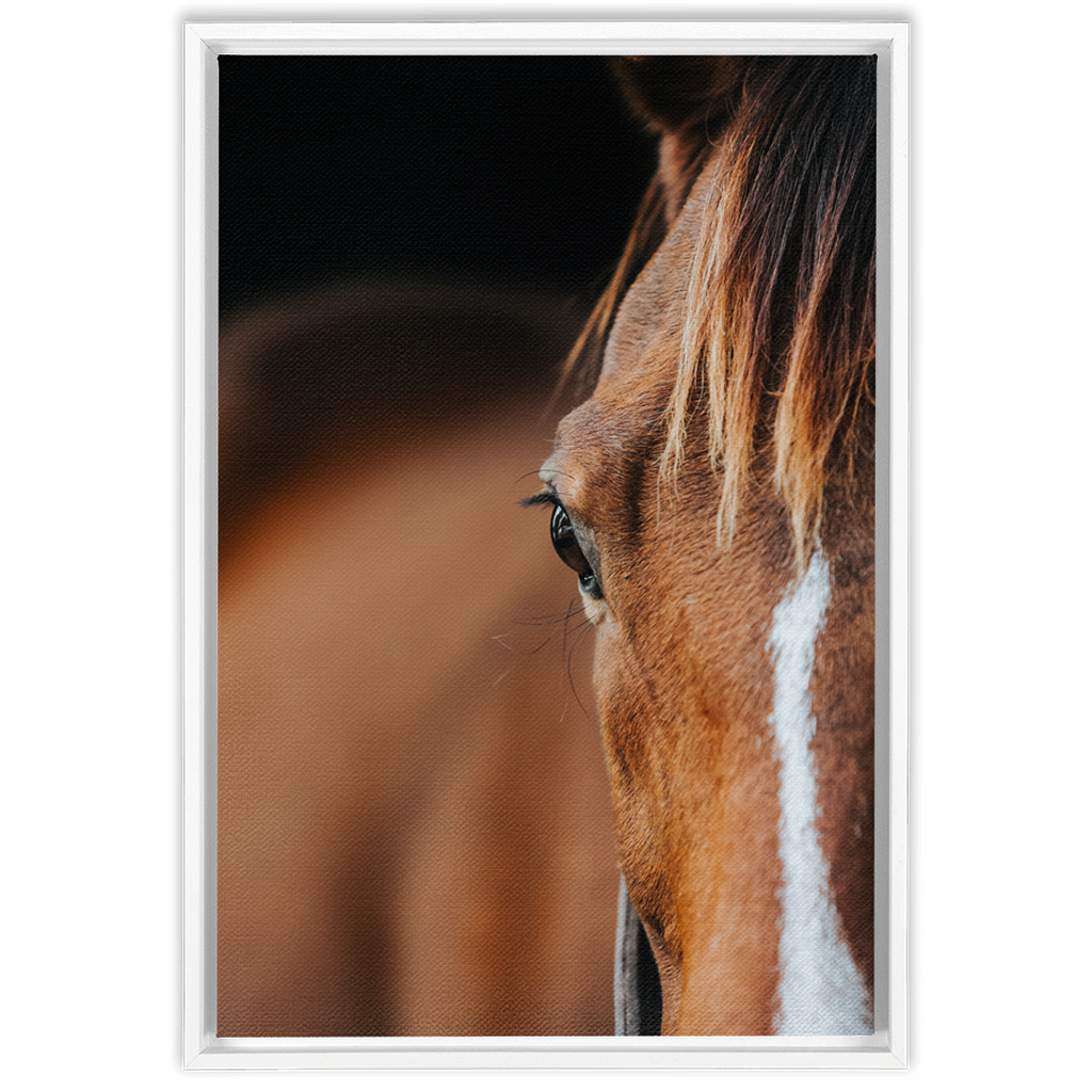 Majestic 1, Framed Canvas