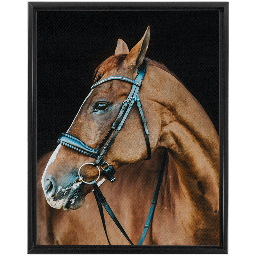 Hudson Series 6, Framed Canvas