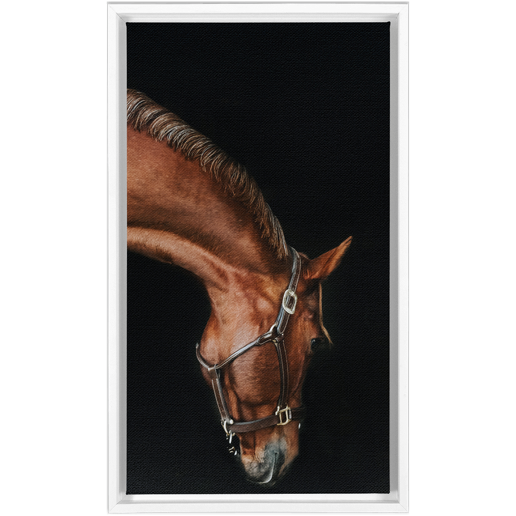 Django Series 6, Framed Canvas