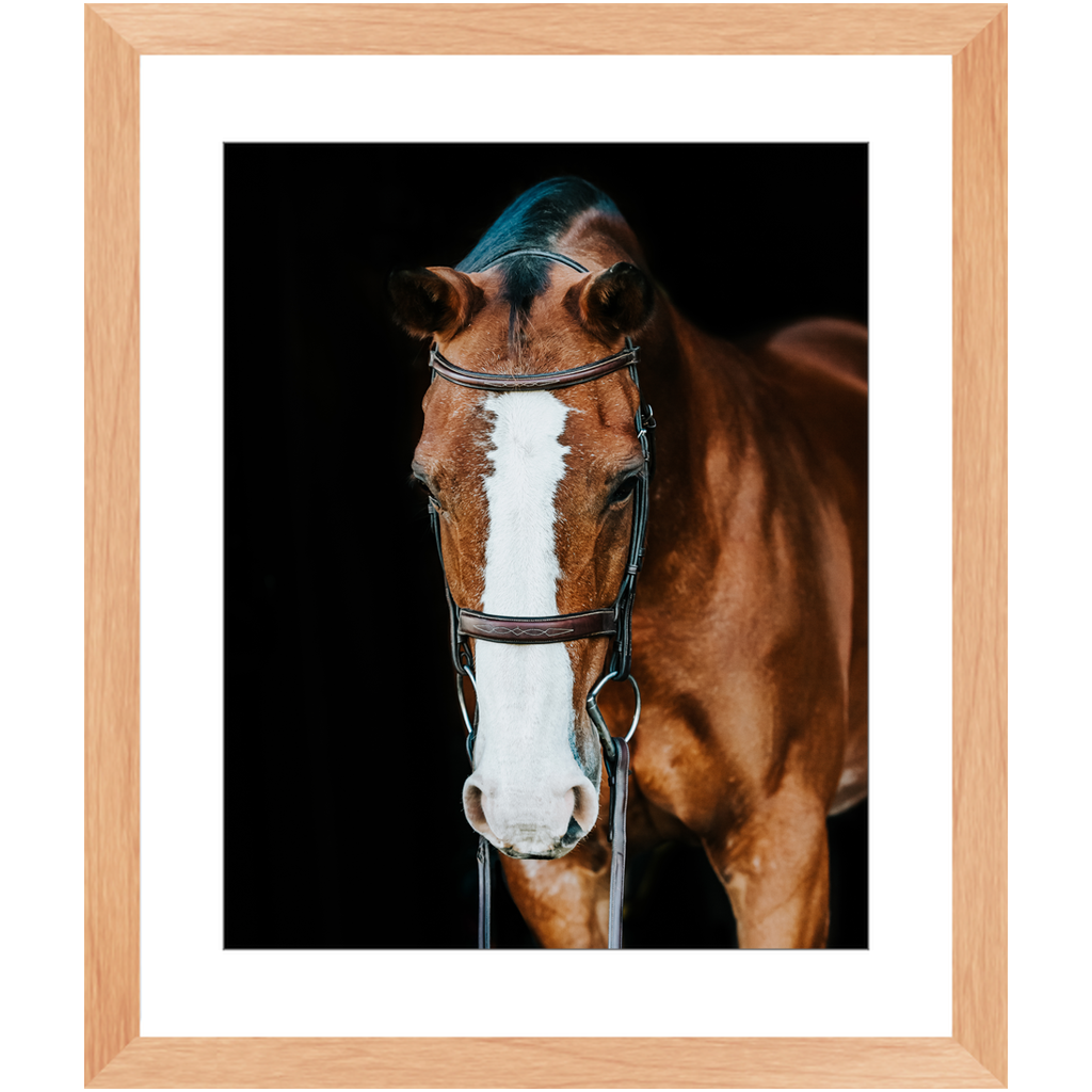 Huntsman Series 6, Framed Print