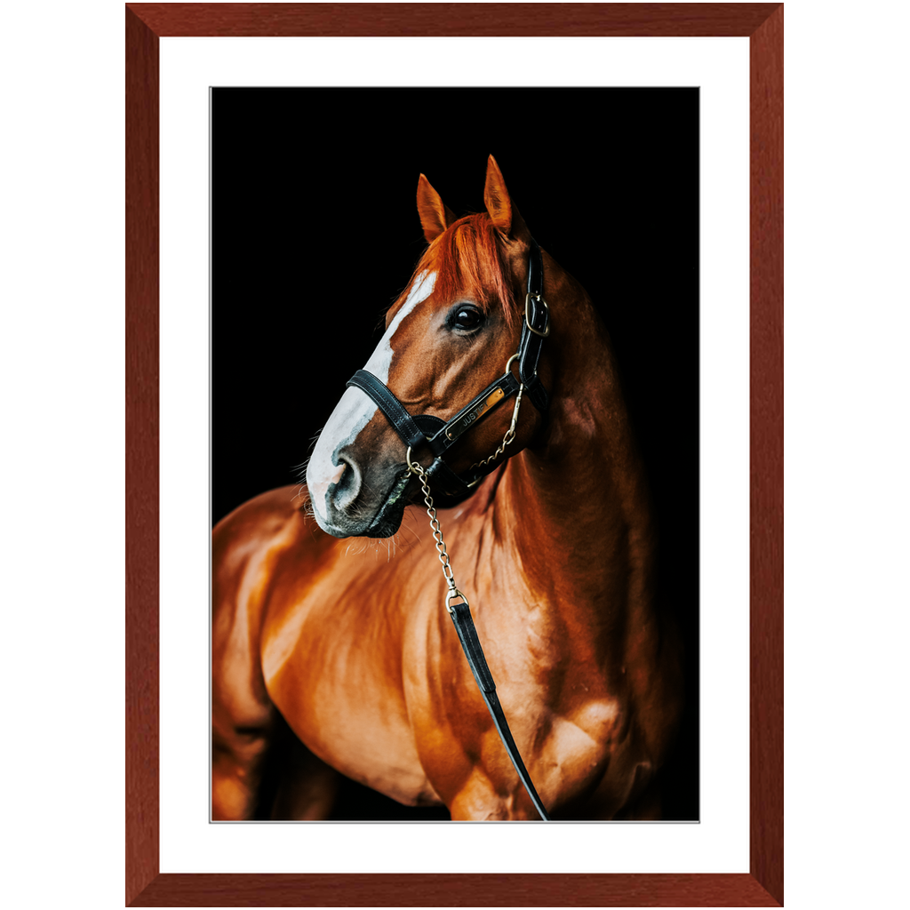 Justify Series 1, Framed Print