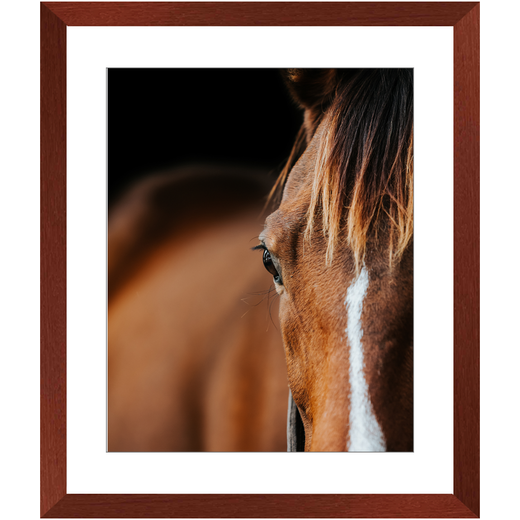 Majestic Series 1, Framed Print