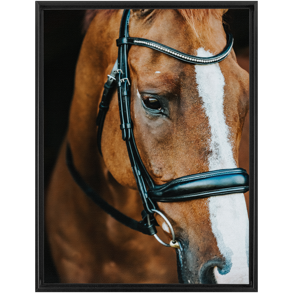 Hudson Series 3, Framed Canvas