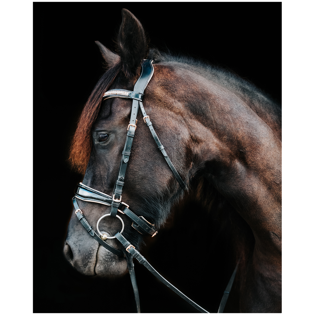Regal Series 18, Print