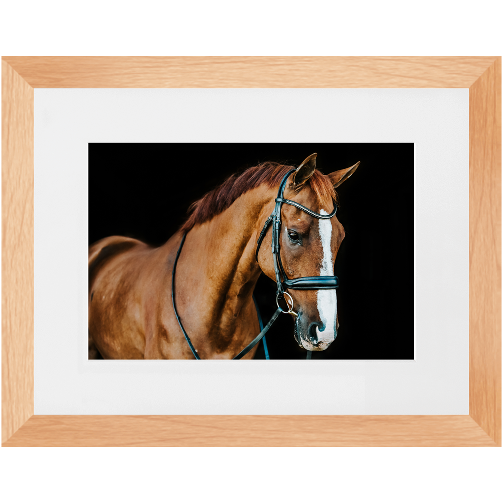 Hudson Series 1, Framed Print