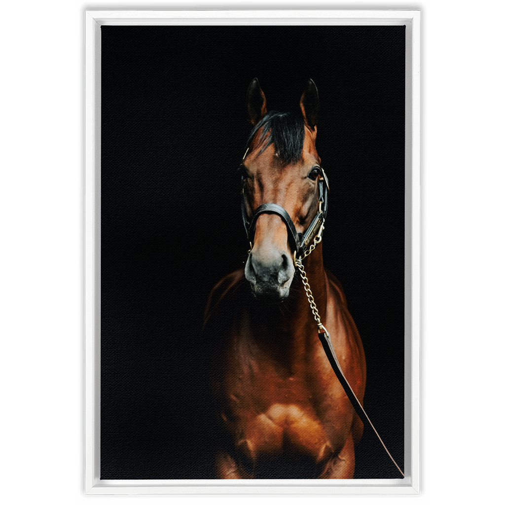 American Pharoah Series 4, Framed Canvas