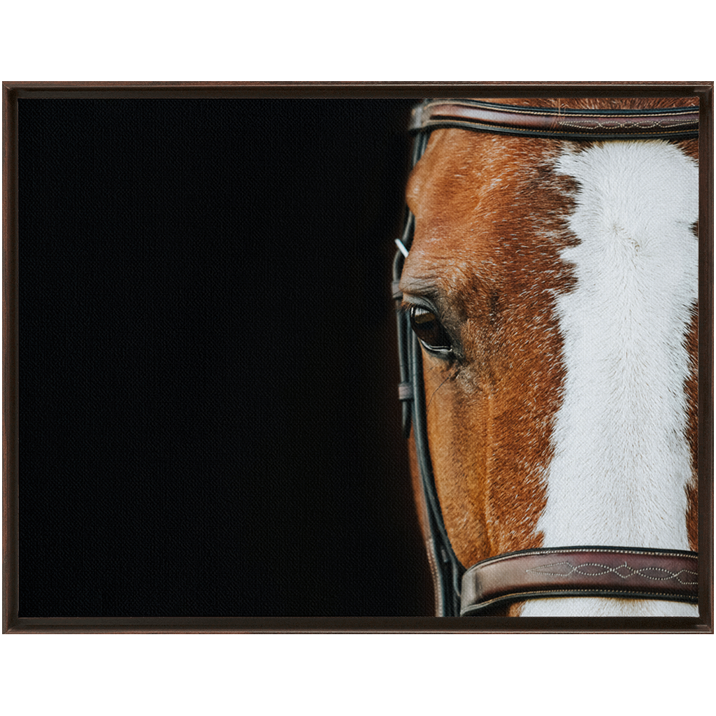 Huntsman Series 5, Framed Canvas