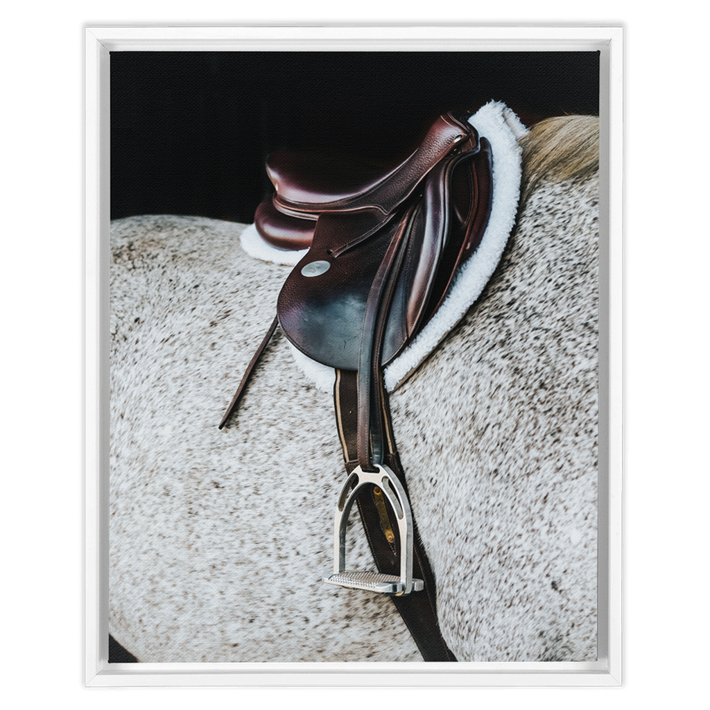 Apollo Series 3, Framed Canvas