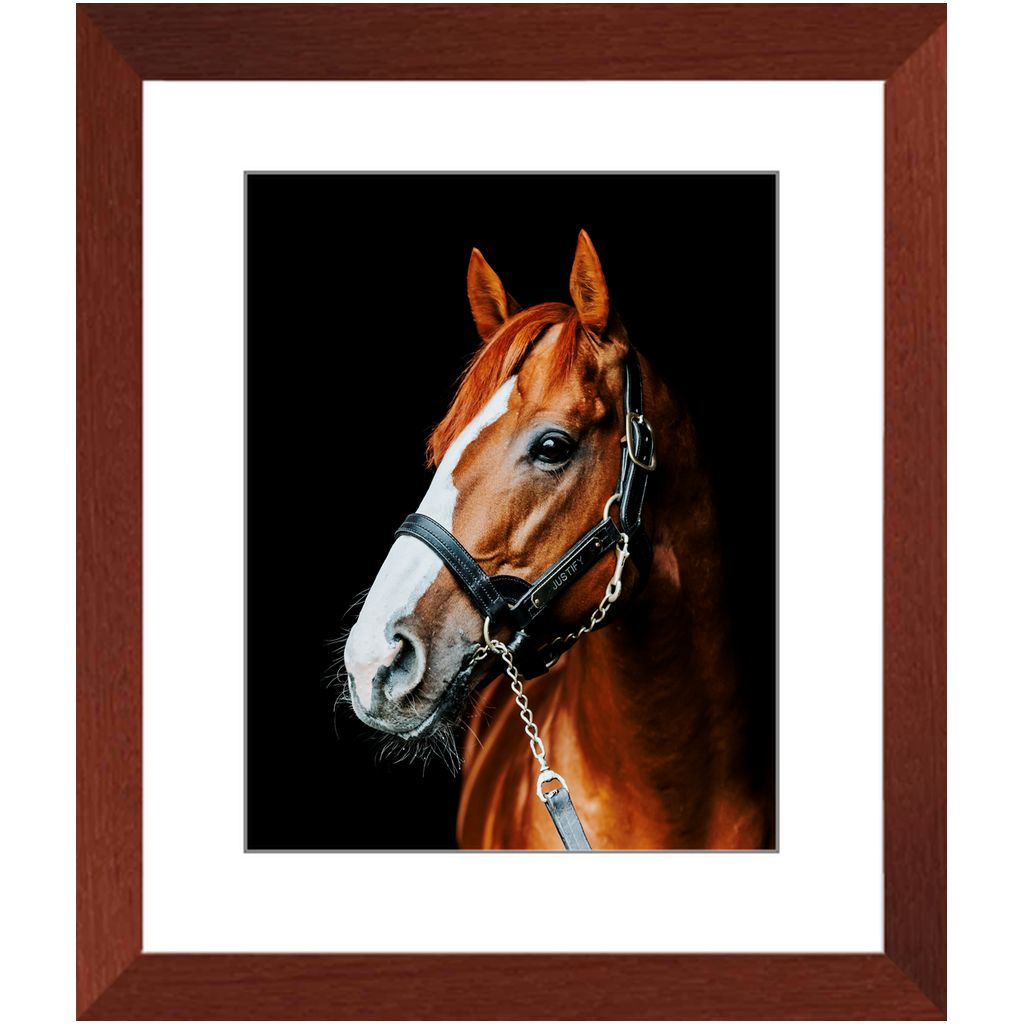 Justify Series 5, Framed Print