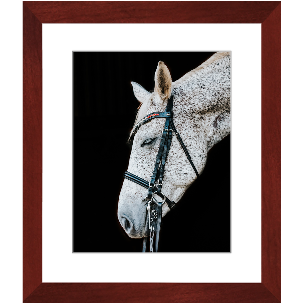 Apollo Series 2, Framed Print