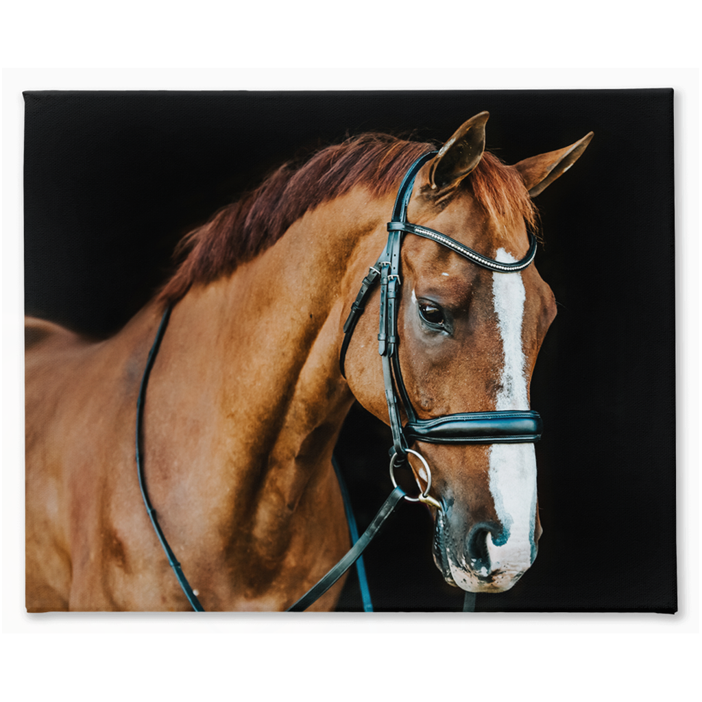 Hudson Series 1, Stretched Canvas