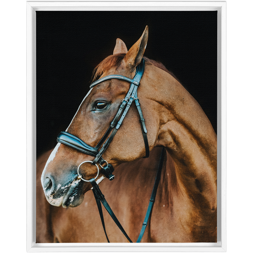 Hudson Series 6, Framed Canvas