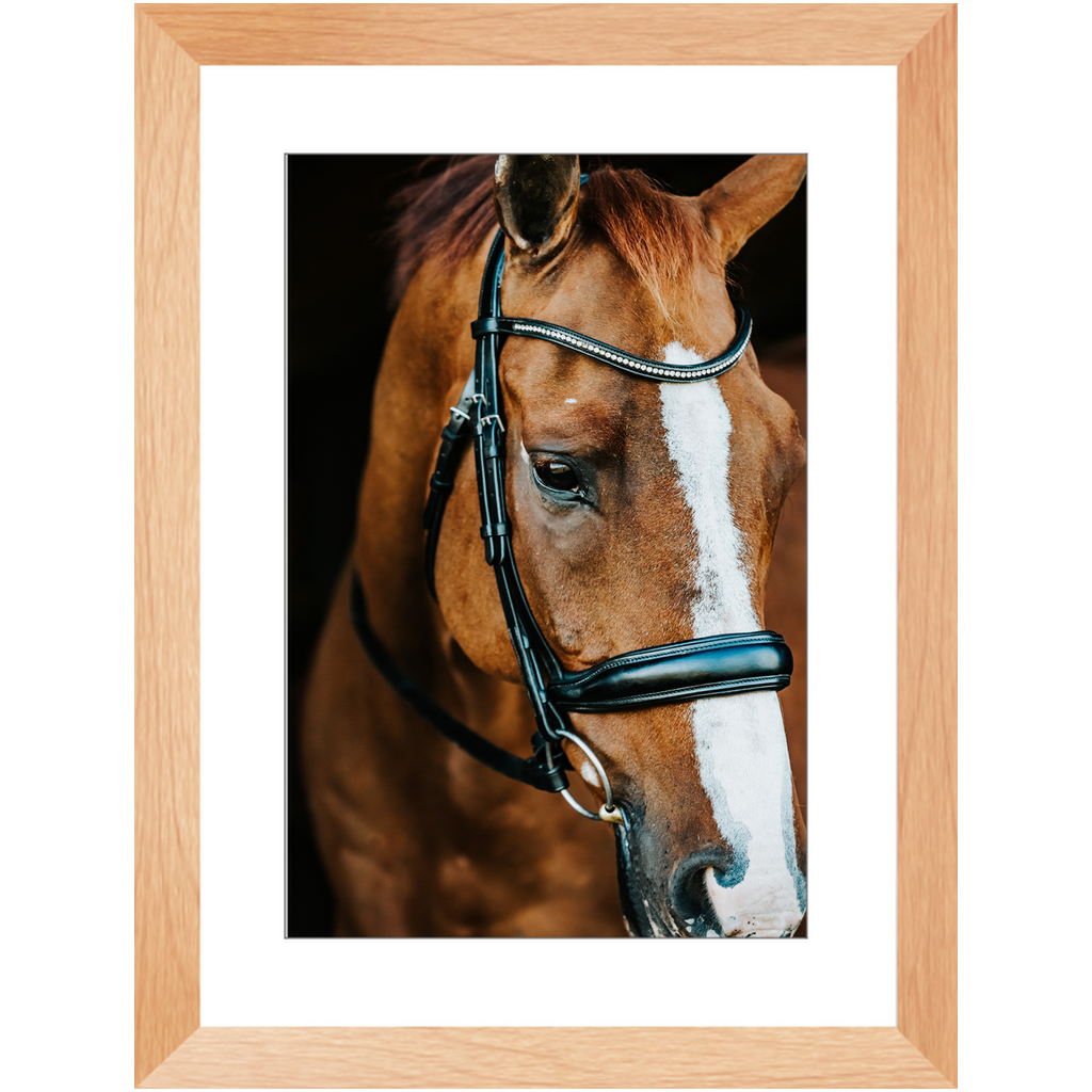 Hudson Series 3, Framed Print
