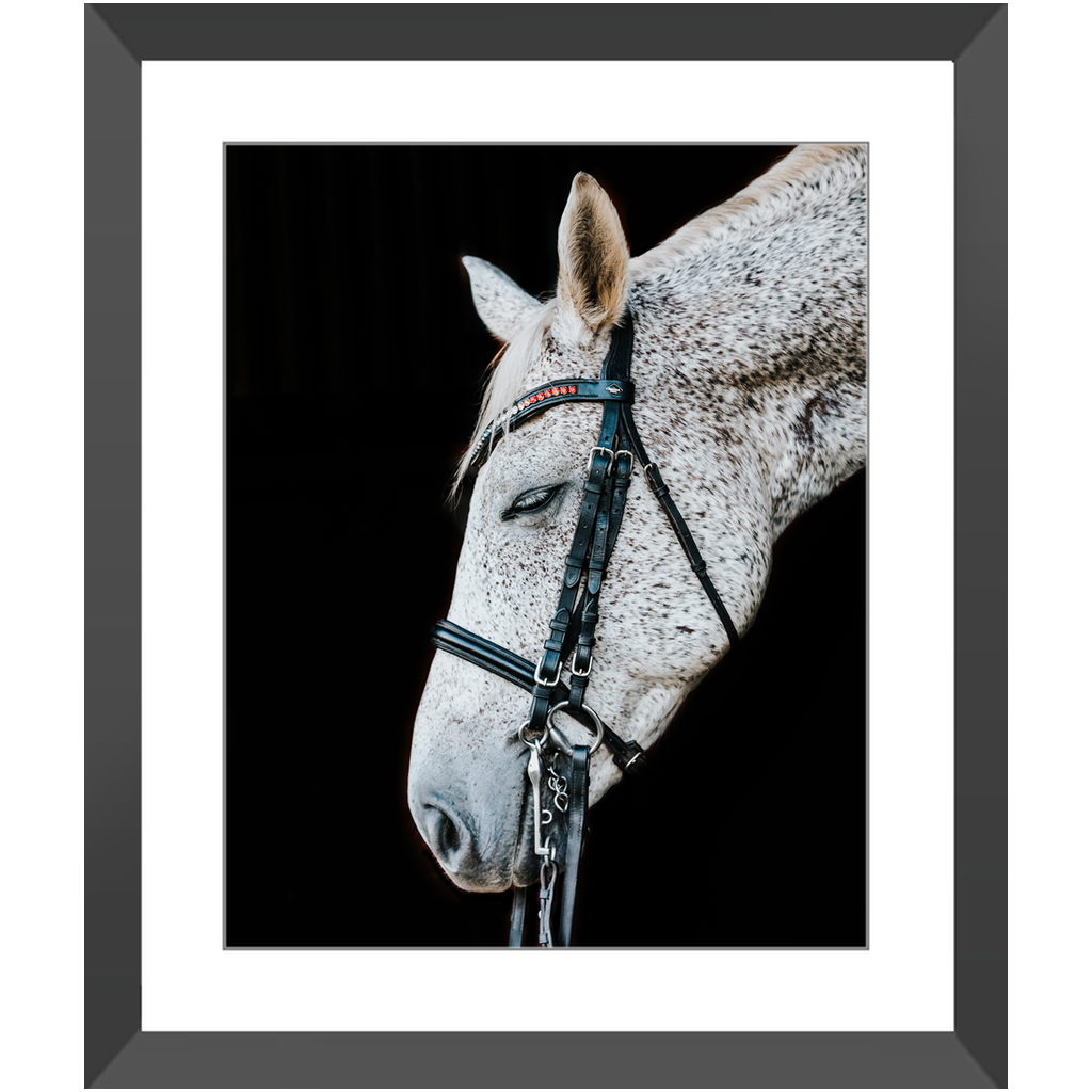 Apollo Series 2, Framed Print